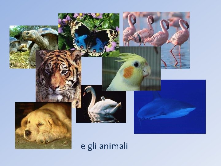 e gli animali 