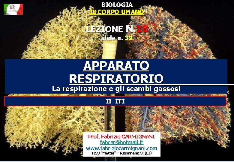 BIOLOGIA IL CORPO UMANO LEZIONE N. 10 slide n. 39 APPARATO RESPIRATORIO La respirazione