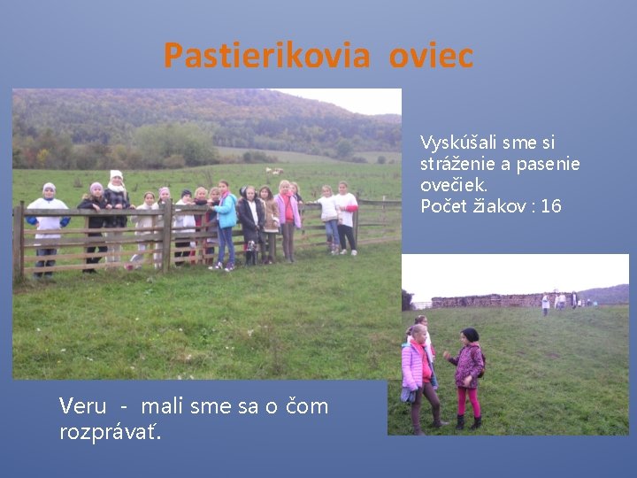 Pastierikovia oviec Vyskúšali sme si stráženie a pasenie ovečiek. Počet žiakov : 16 Veru