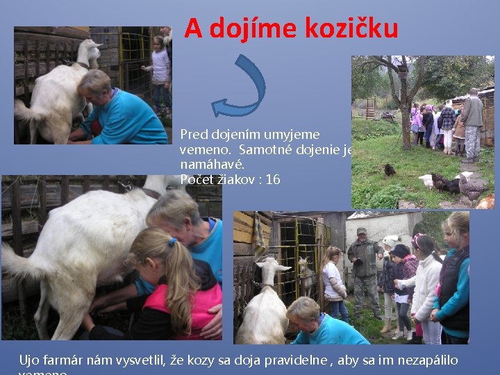 A dojíme kozičku Pred dojením umyjeme vemeno. Samotné dojenie je namáhavé. Počet žiakov :