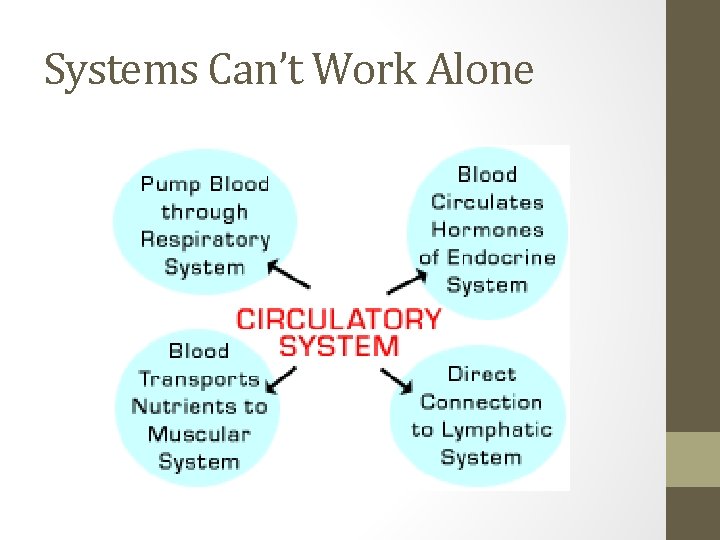 Systems Can’t Work Alone 