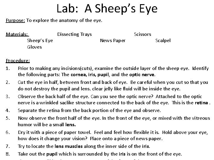 Lab: A Sheep’s Eye Purpose: To explore the anatomy of the eye. Materials: Dissecting