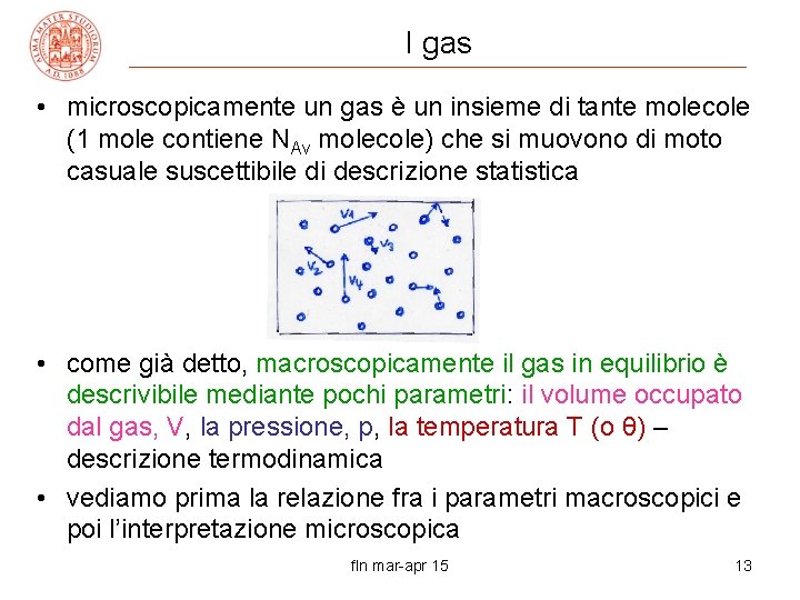 I gas • microscopicamente un gas è un insieme di tante molecole (1 mole