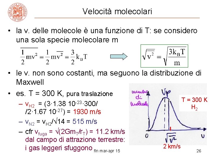 Velocità molecolari • la v. delle molecole è una funzione di T: se considero