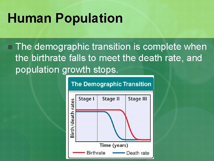 Human Population n The demographic transition is complete when the birthrate falls to meet