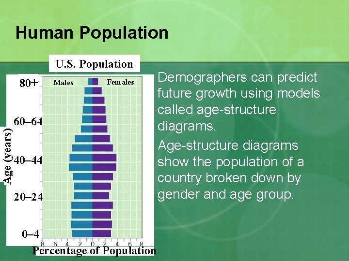 Human Population U. S. Population 80+ Males Females n Age (years) 60– 64 n