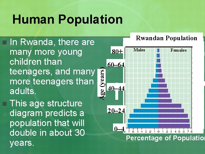 Human Population In Rwanda, there are many more young children than teenagers, and many