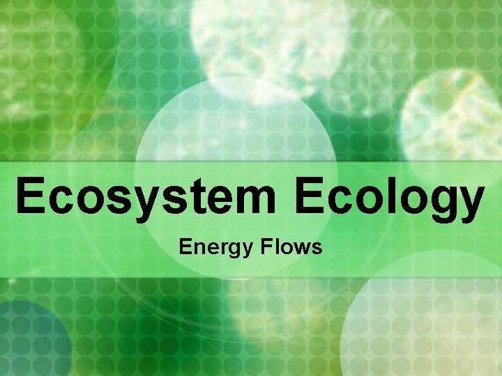 Ecosystem Ecology Energy Flows 