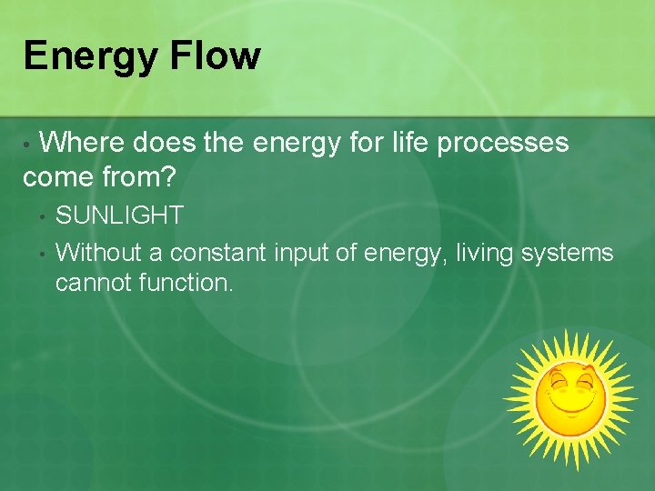 Energy Flow Where does the energy for life processes come from? • • •
