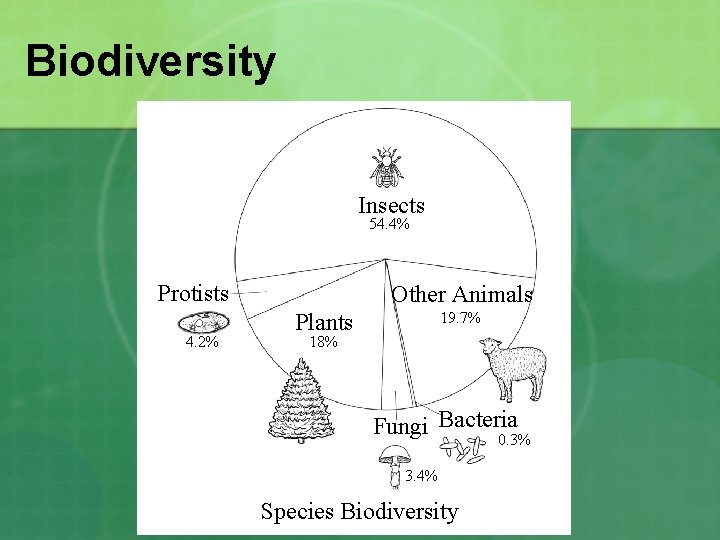 Biodiversity Insects 54. 4% Protists 4. 2% Other Animals 19. 7% Plants 18% Fungi