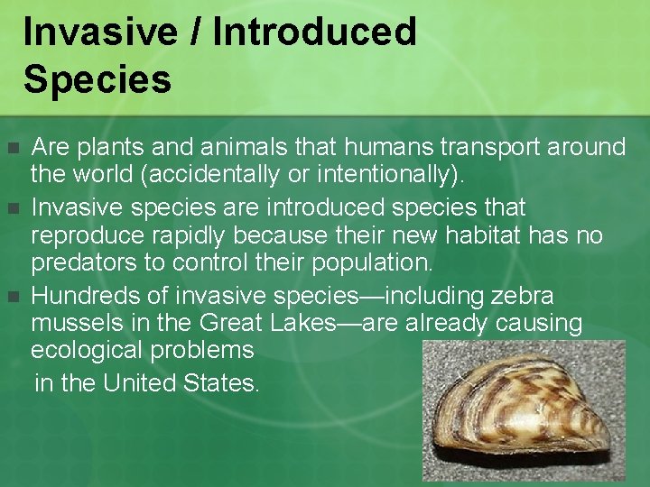 Invasive / Introduced Species n n n Are plants and animals that humans transport