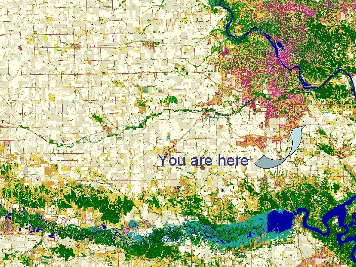 You are here 