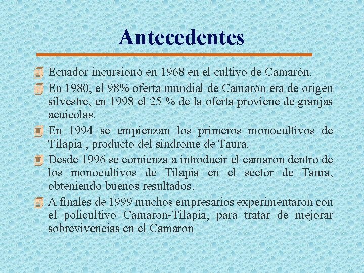 Antecedentes 4 Ecuador incursionó en 1968 en el cultivo de Camarón. 4 En 1980,