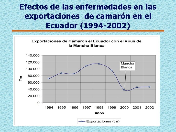 Efectos de las enfermedades en las exportaciones de camarón en el Ecuador (1994 -2002)