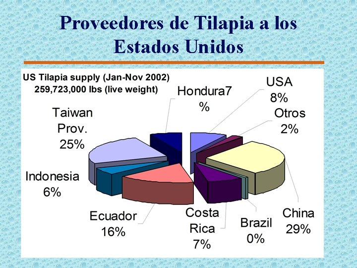 Proveedores de Tilapia a los Estados Unidos 