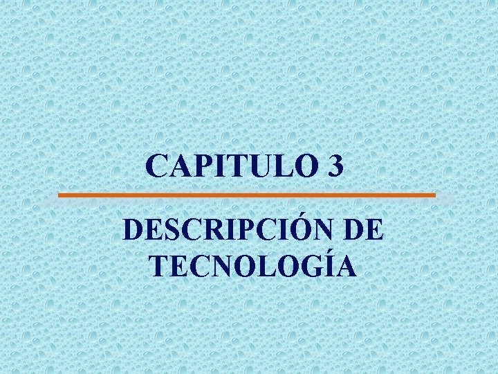 CAPITULO 3 DESCRIPCIÓN DE TECNOLOGÍA 