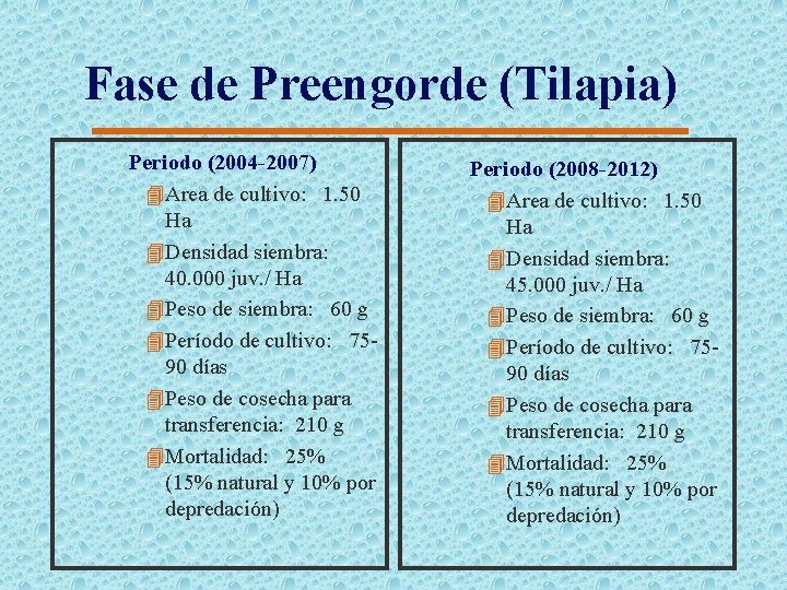 Fase de Preengorde (Tilapia) Periodo (2004 -2007) 4 Area de cultivo: 1. 50 Ha