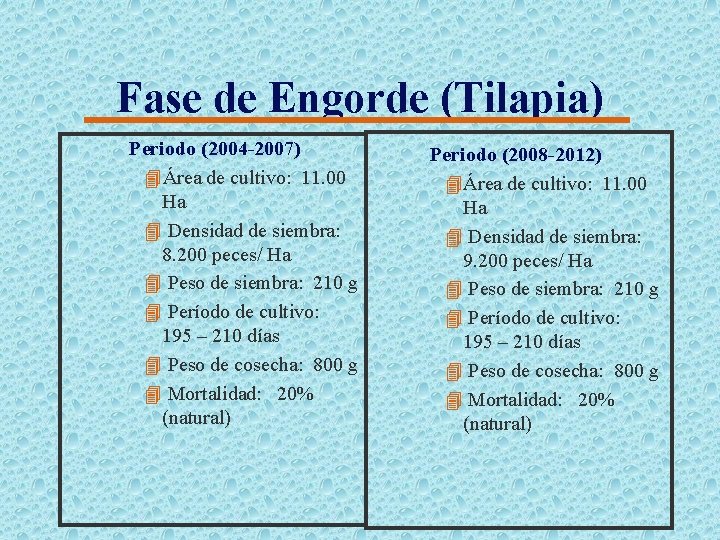 Fase de Engorde (Tilapia) Periodo (2004 -2007) 4Área de cultivo: 11. 00 Ha 4