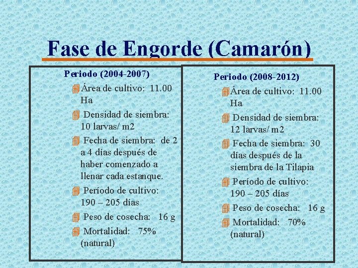 Fase de Engorde (Camarón) Periodo (2004 -2007) 4Área de cultivo: 11. 00 Ha 4