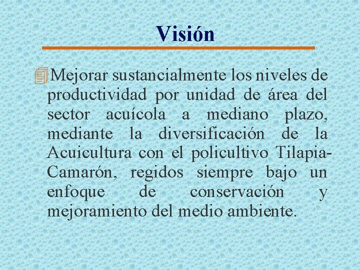 Visión 4 Mejorar sustancialmente los niveles de productividad por unidad de área del sector