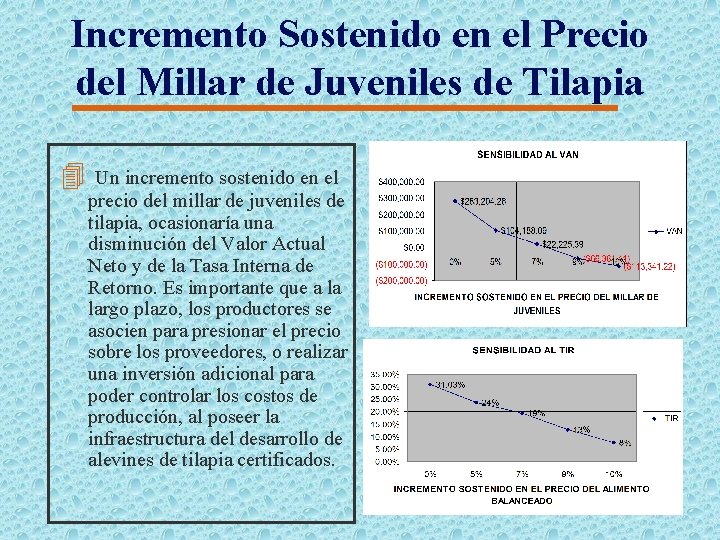 Incremento Sostenido en el Precio del Millar de Juveniles de Tilapia 4 Un incremento