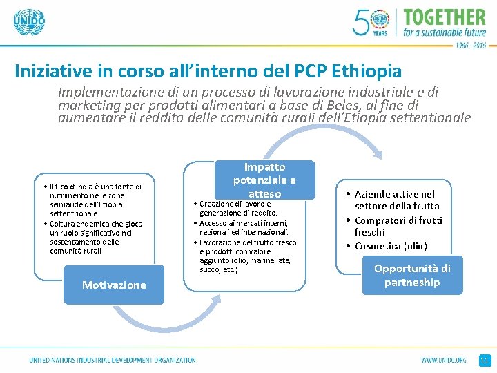Iniziative in corso all’interno del PCP Ethiopia Implementazione di un processo di lavorazione industriale