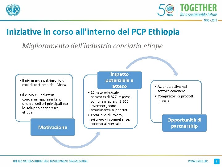 Iniziative in corso all’interno del PCP Ethiopia Miglioramento dell’industria conciaria etiope • Il più