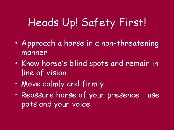 Heads Up! Safety First! • Approach a horse in a non-threatening manner • Know