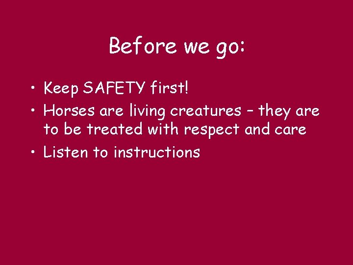 Before we go: • Keep SAFETY first! • Horses are living creatures – they