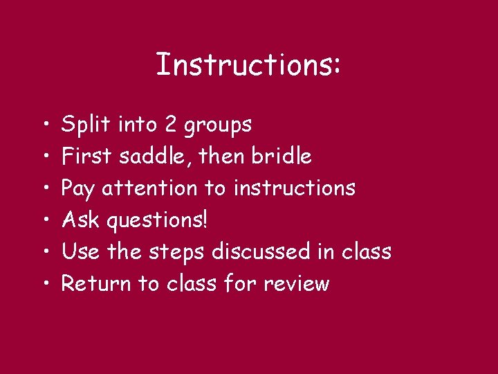 Instructions: • • • Split into 2 groups First saddle, then bridle Pay attention