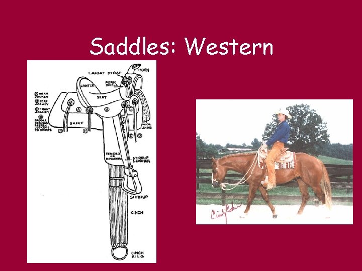 Saddles: Western 