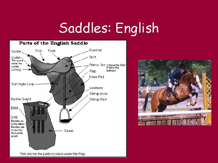 Saddles: English 