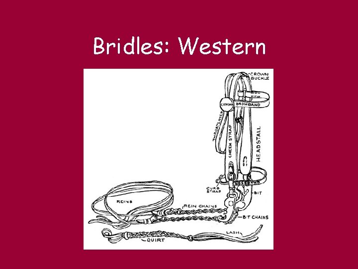 Bridles: Western 