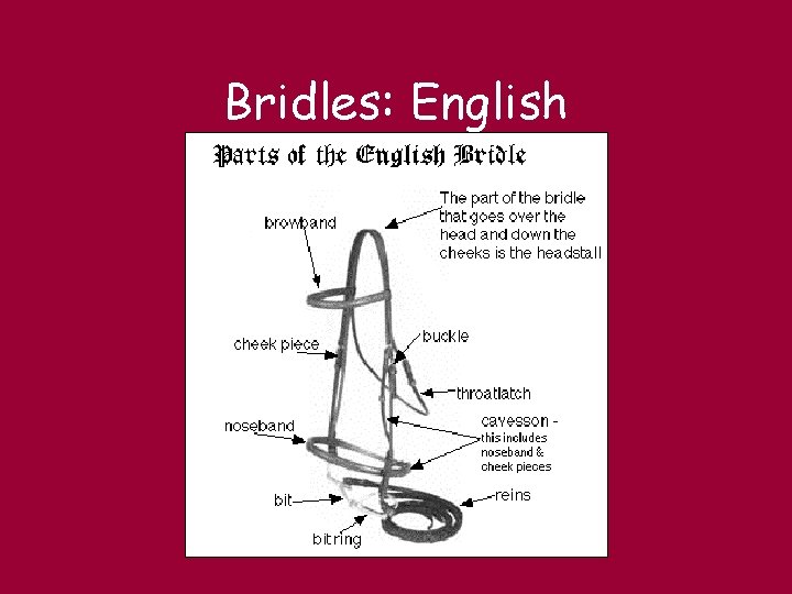 Bridles: English 