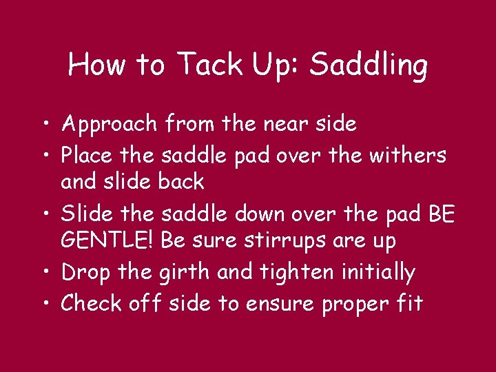 How to Tack Up: Saddling • Approach from the near side • Place the