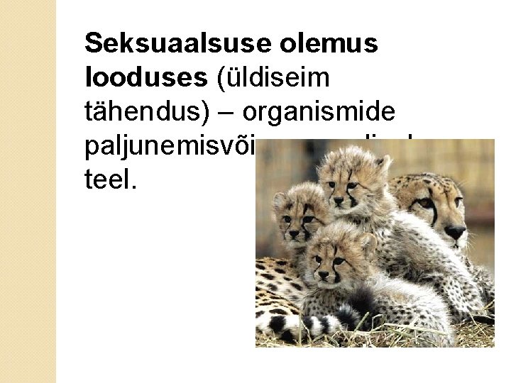 Seksuaalsuse olemus looduses (üldiseim tähendus) – organismide paljunemisvõime sugulisel teel. Seksuaalsuse olemus looduses (üldiseim tähendus) – organismide paljunemisvõime sugulisel teel.