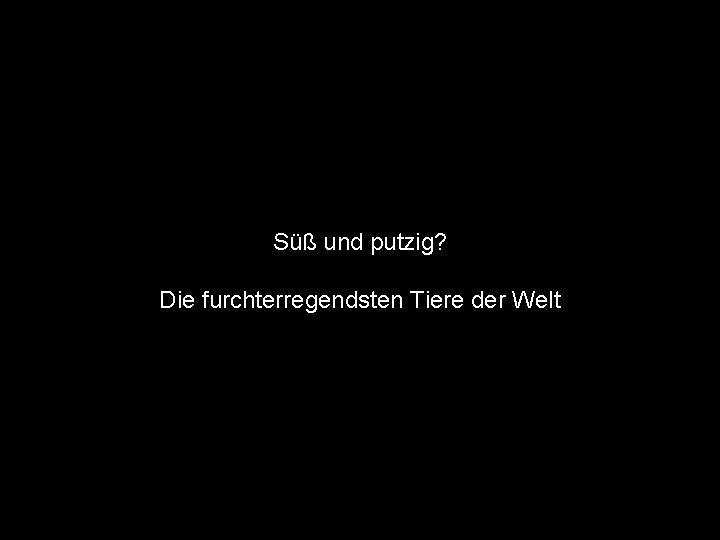 Süß und putzig? Die furchterregendsten Tiere der Welt 