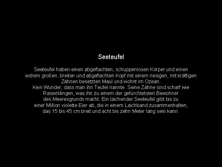 Seeteufel haben einen abgeflachten, schuppenlosen Körper und einen extrem großen, breiten und abgeflachten Kopf