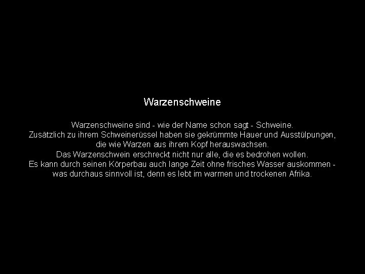 Warzenschweine sind - wie der Name schon sagt - Schweine. Zusätzlich zu ihrem Schweinerüssel