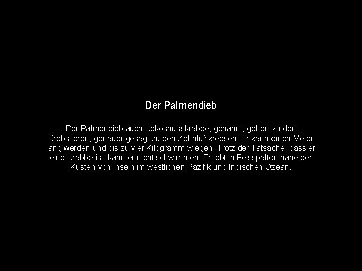 Der Palmendieb auch Kokosnusskrabbe, genannt, gehört zu den Krebstieren, genauer gesagt zu den Zehnfußkrebsen.