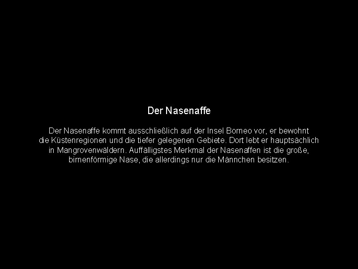 Der Nasenaffe kommt ausschließlich auf der Insel Borneo vor, er bewohnt die Küstenregionen und