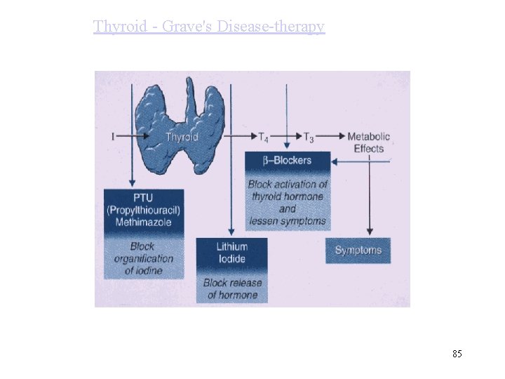 Thyroid - Grave's Disease-therapy 85 