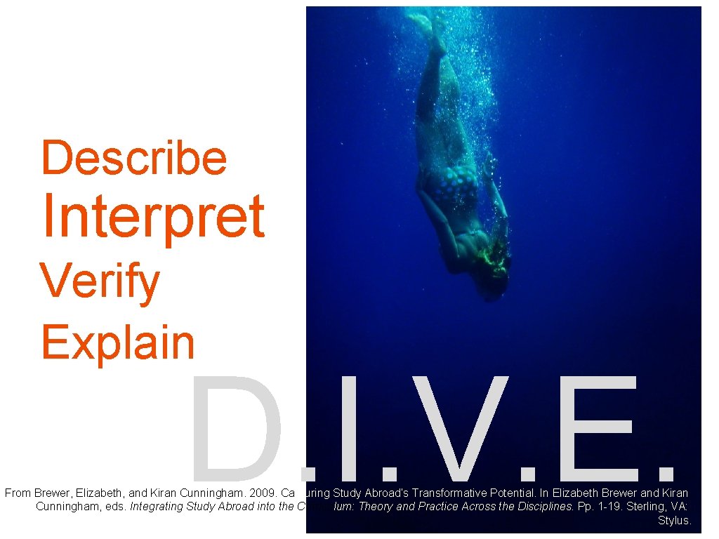 Describe Interpret Verify Explain D. I. V. E. From Brewer, Elizabeth, and Kiran Cunningham.