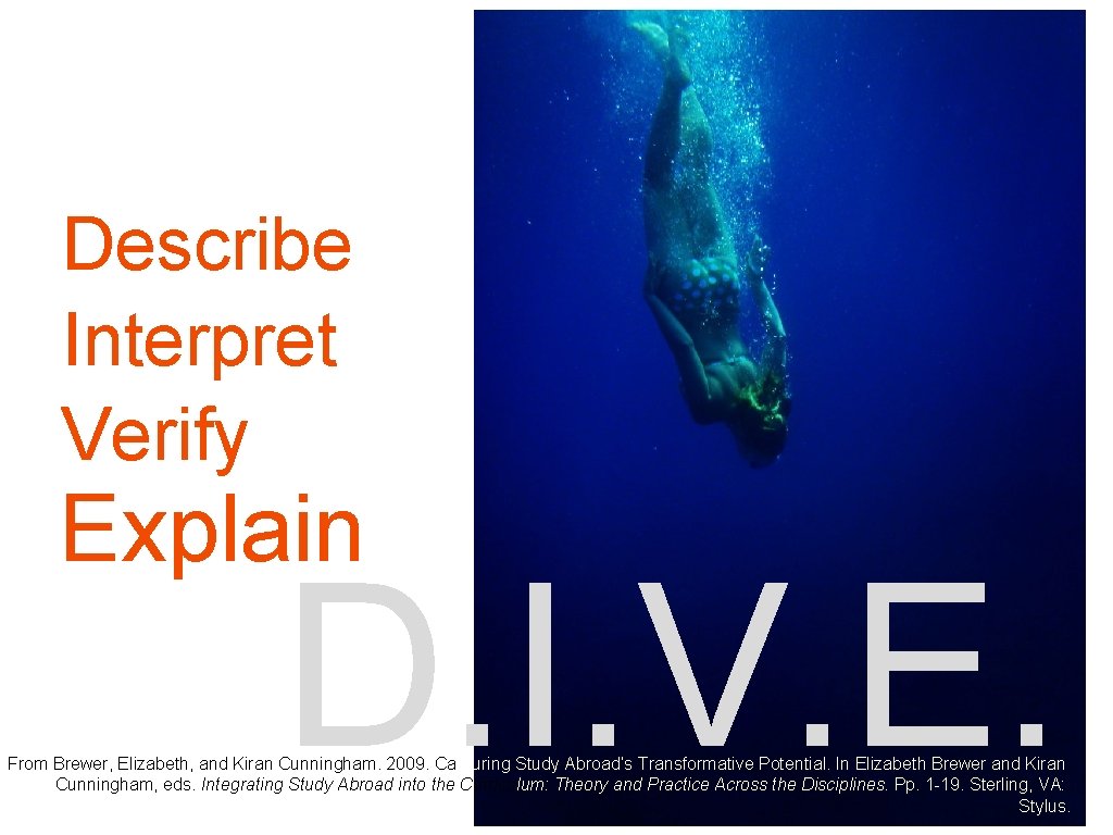 Describe Interpret Verify Explain D. I. V. E. From Brewer, Elizabeth, and Kiran Cunningham.