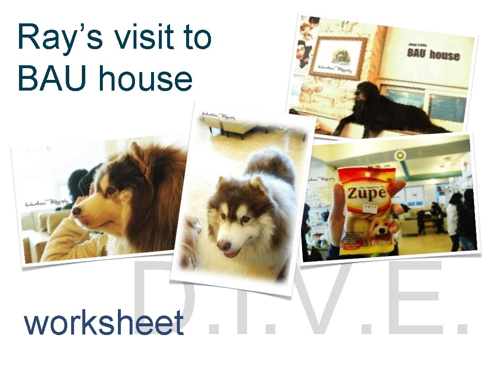 Ray’s visit to strategies BAU house D. I. V. E. worksheet 