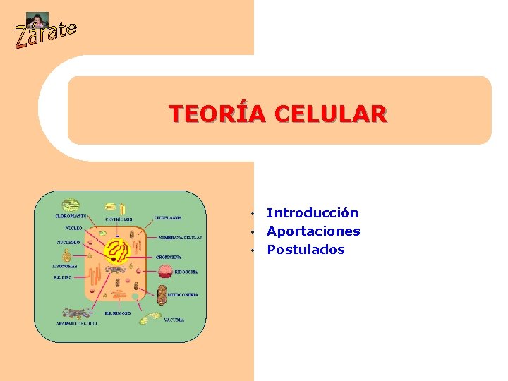 TEORÍA CELULAR Introducción • Aportaciones • Postulados • 