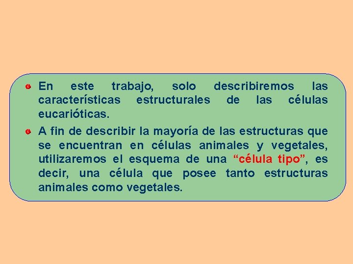 En este trabajo, solo describiremos las características estructurales de las células eucarióticas. A fin