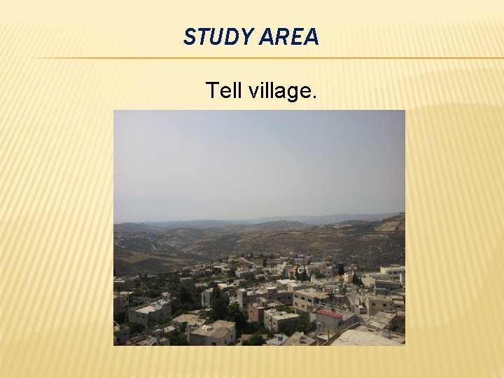 STUDY AREA Tell village. 