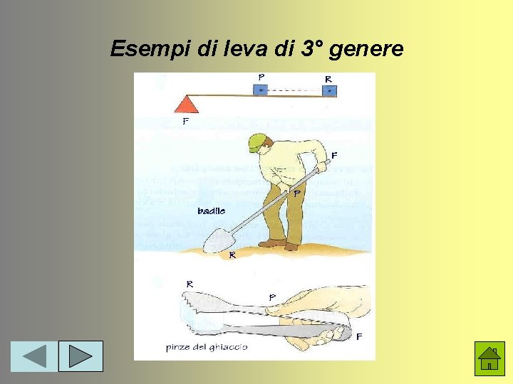 Esempi di leva di 3° genere 