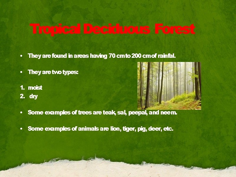 Tropical Deciduous Forest • They are found in areas having 70 cmto 200 cmof